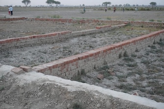 Plot For Resale in Jewar Greater Noida  7570759