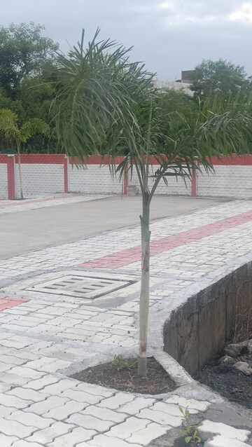  Plot – Exterior View View at Shankarpur - for Sale