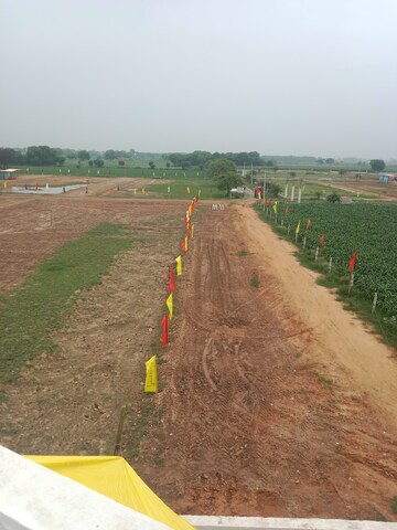  Plot For Sale in Jewar