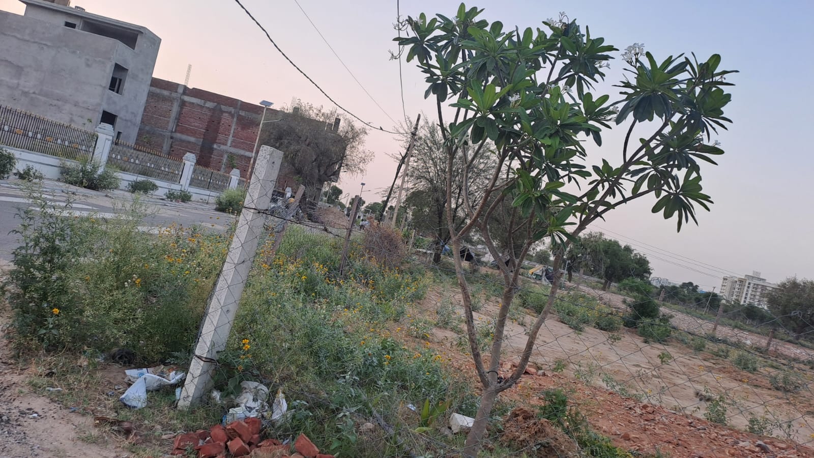 Plot For Resale in Sector 137 Noida  7570898