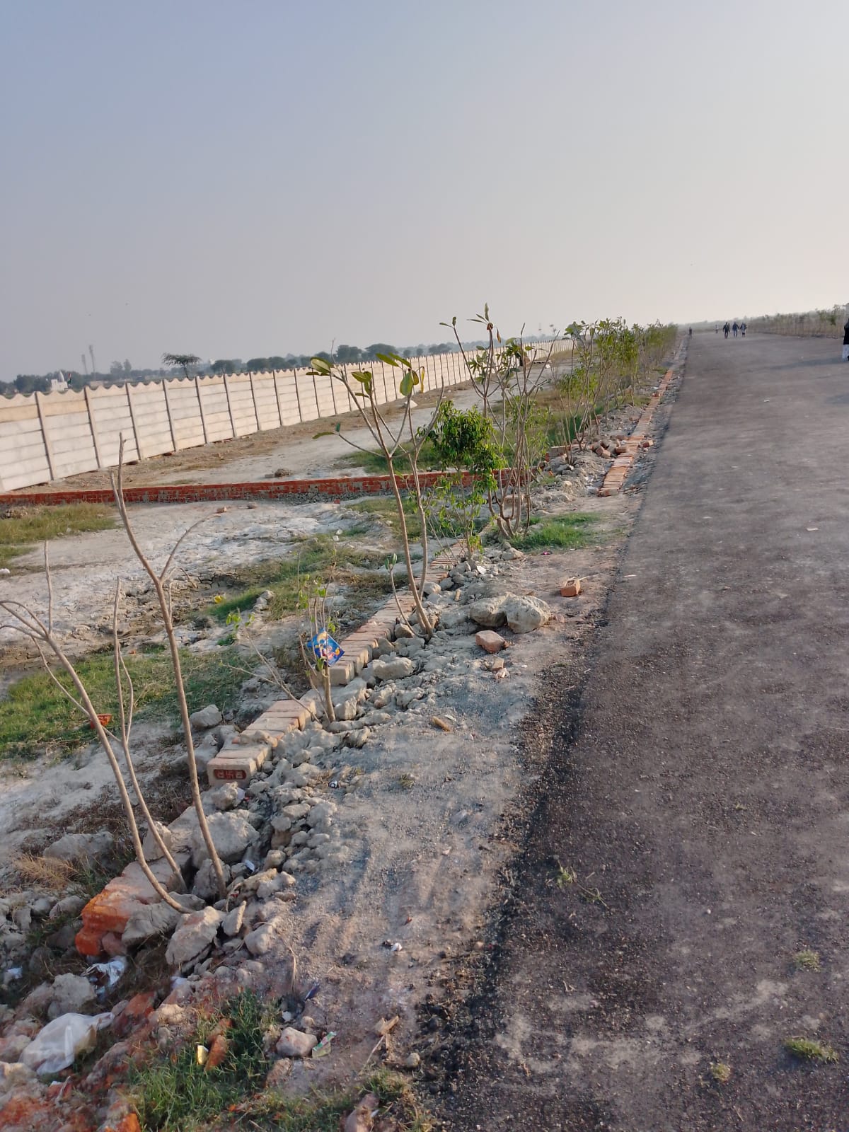 Plot For Resale in Jewar Greater Noida  7570974