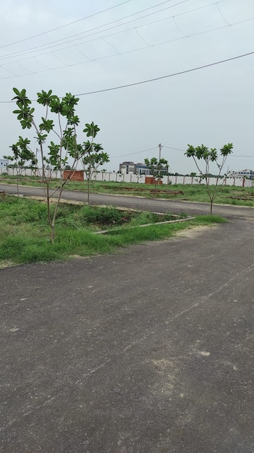 Plot For Resale in Rishi Nagar Meerut  7570997