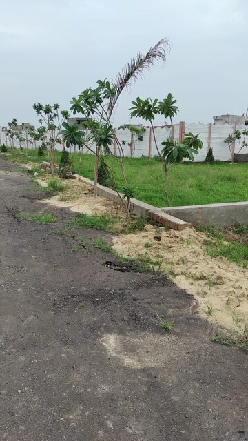 Plot Area in  Plot at Rishi Nagar – for Sale