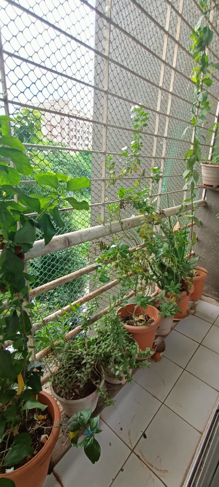 Balcony, annapurna-jyoti 2 Bedroom 900 Sq.Ft. Apartment In Bhayandar East Thane 7571072