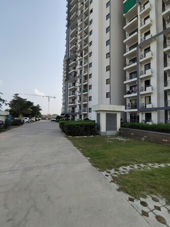 3 BHK Apartment For Rent in Godrej Aria Sector 79 Gurgaon  7571162