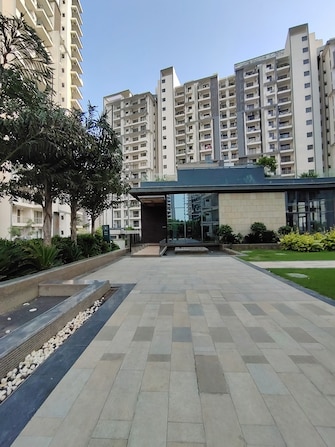 3 BHK Apartment For Rent in Godrej Aria Sector 79 Gurgaon  7571162