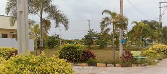 Plot For Resale in Aneparti Nalgonda  7572157