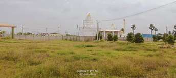 Plot For Resale in Aneparti Nalgonda  7572157