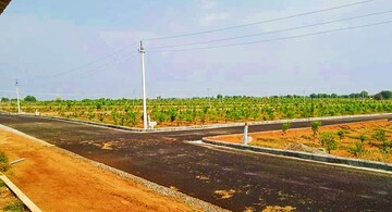 Plot For Resale in Shadnagar Hyderabad  7572302