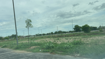 Plot Area in  Plot at Sector 27 – for Sale