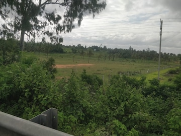 Plot For Resale in Samethanahalli Bangalore  7572662