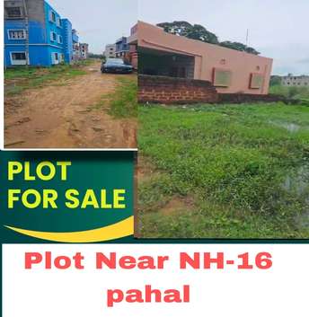 Plot For Resale in Pahal Bhubaneswar  7573419