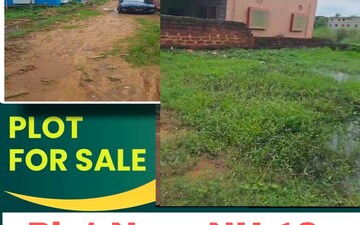 Plot For Sale in Pahal