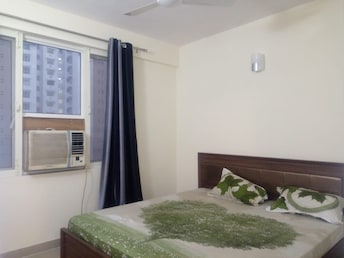 2.5 BHK Apartment For Rent in Logix Blossom Greens Sector 143 Noida  7573443