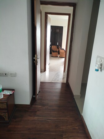 5 BHK Apartment For Rent in Gomti Nagar Lucknow  7573514