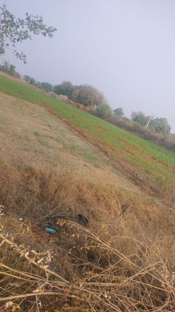 Commercial Land 2420 Sq.Yd. For Resale in Peddapur Sangareddy  7574201