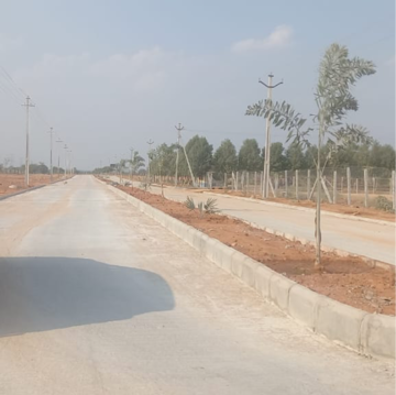 Plot Area in  Plot at Fortune 18, Amangal – for Sale