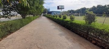 Plot For Resale in Jewar Greater Noida  7574513