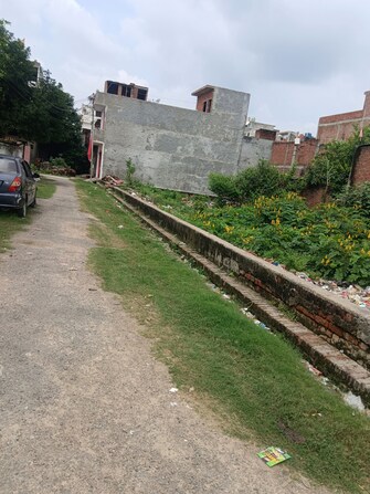 Plot For Resale in Kamta Lucknow  7574605