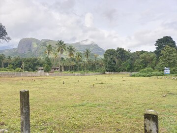Plot Area in  Plot at Olavakode – for Sale