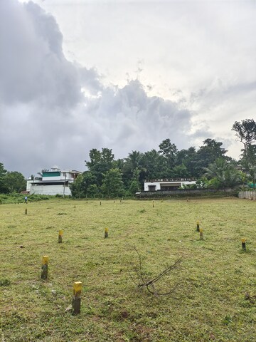 Plot Area in  Plot at Olavakode – for Sale