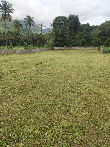 Plot Area in  Plot at Olavakode – for Sale