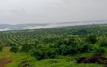 Plot For Sale in Dronagiri