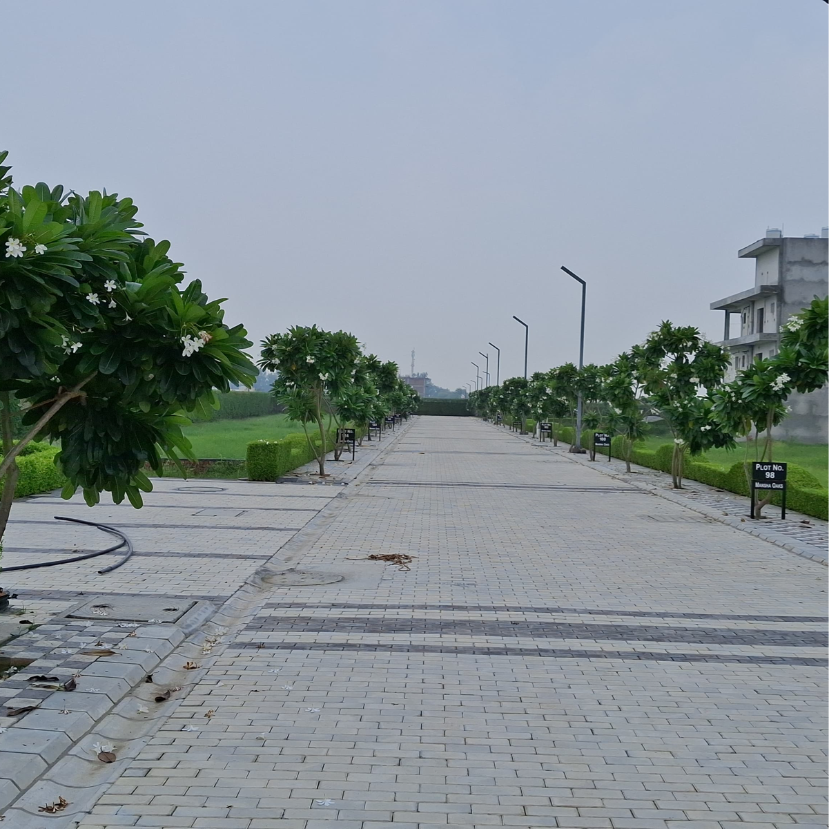 Plot For Resale in Mansha Oaks Sector 98 Faridabad  7574976