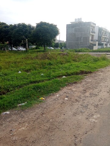 Plot Area in  Plot at Altus Prime, North Mullanpur – for Sale