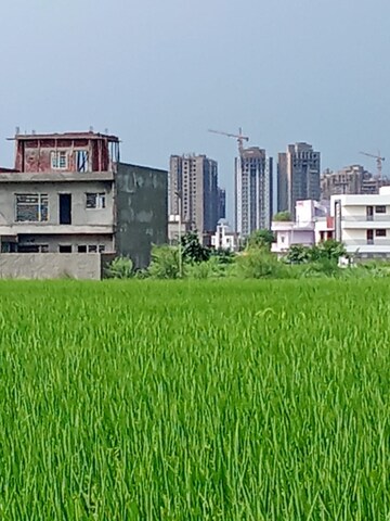  Plot For Sale in Altus Prime, North Mullanpur
