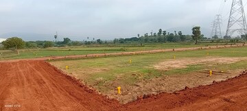  Plot For Sale in Nunna