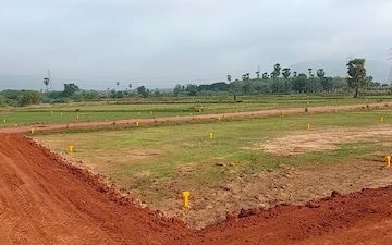 Plot For Sale in Nunna