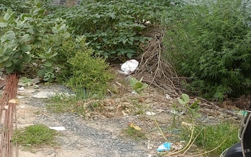 Plot For Sale in Sector 52