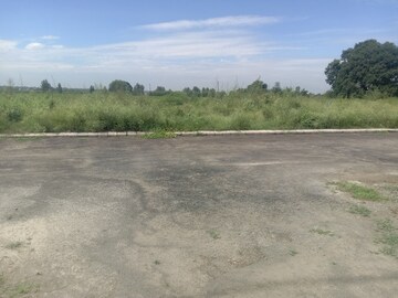 Plot Area in  Plot at Altus Prime, North Mullanpur – for Sale