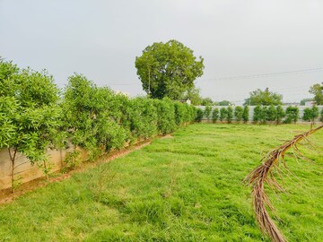  Plot – Garden View at Mansha Orchid, Sector 110 - for Sale