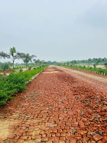 Plot Area in  Plot at Raebareli Road – for Sale
