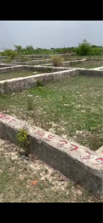 Plot Area in  Plot at Sector 27 Yamuna Expressway – for Sale