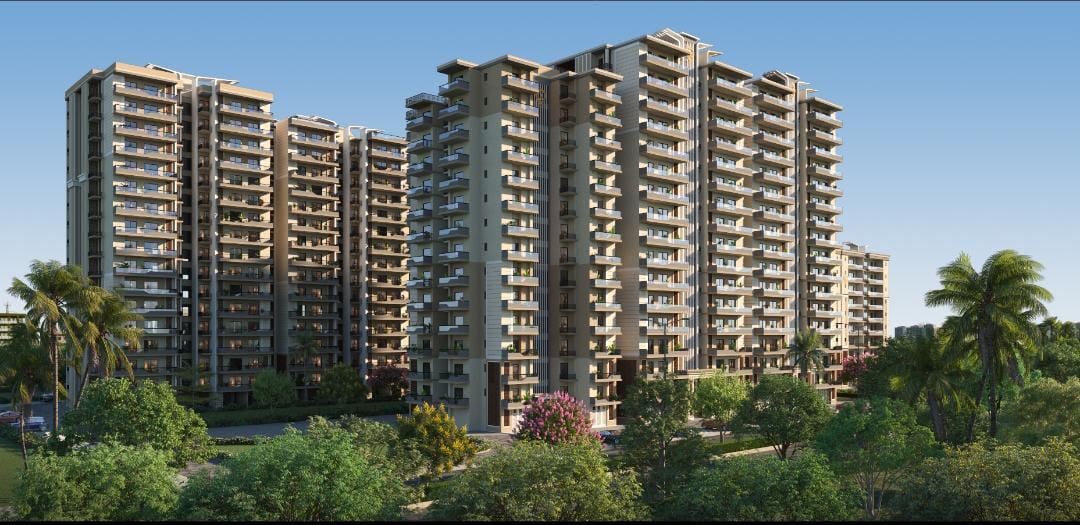 3 BHK Apartment For Resale in Pavitra Luxury Residences Patiala Road Zirakpur  7576271