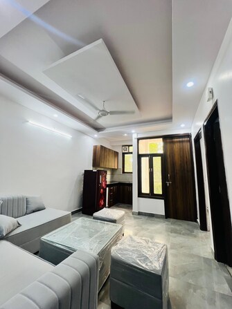 1 BHK Apartment For Rent in Saket Delhi  7576362