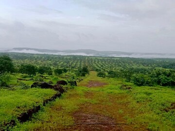 Plot Area in  Plot at Dronagiri – for Sale