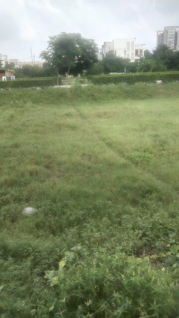 Plot Area in  Plot at Lightstone La Dimora City Phase 2, Sector 97 – for Sale