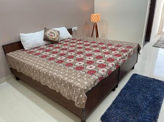 2 BHK Builder Floor For Rent in The Images Floors Sector 51 Gurgaon  7577002