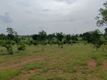 Plot Area in  Plot at Amangal – for Sale