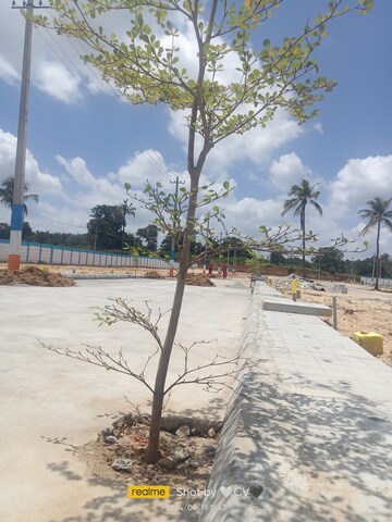 Plot Area in  Plot at Tavarekere – for Sale