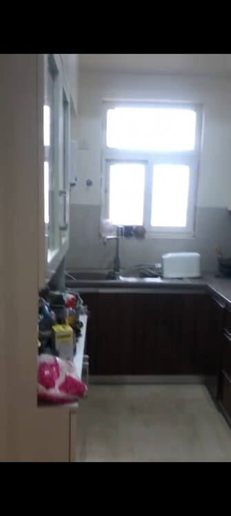 3 BHK Apartment For Rent in Puri Aanandvilas Sector 81 Faridabad  7577413