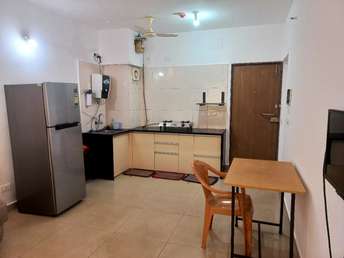 Studio Apartment For Rent in Paranjape Blue Ridge Hinjewadi Pune  7577876