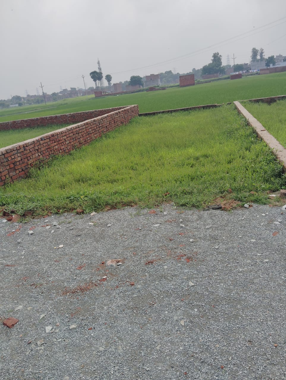 Plot For Resale in Ecotech 11 Greater Noida  7578121