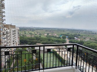 3 BHK Apartment For Resale in Gulshan Ikebana Sector 143 Noida  7578269