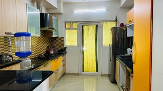 3 BHK Builder Floor For Rent in Tellapur Hyderabad  7578547