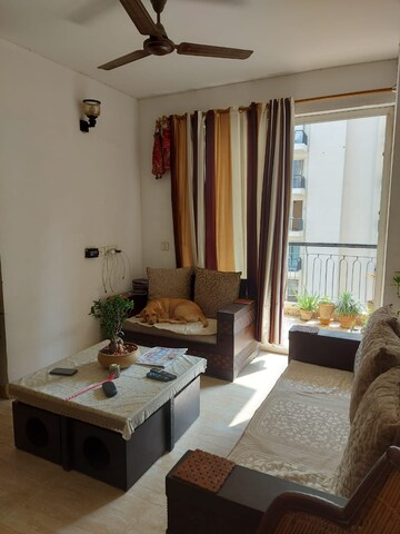Living Room in 2.5 BHK Apartment at Ansal Royal Heritage, Sector 70 – for Sale
